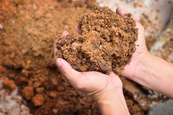 طرق زيادة خصوبة التربة