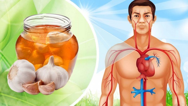 فوائد العسل و الثوم خليط لا غنى عنه للصحة فوائد العسل و الثوم خليط لا غنى عنه للصحة