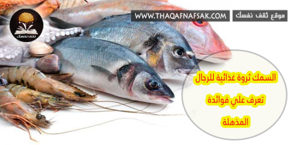 فوائد السمك للرجال ١٨ سبب يجعل السمك مهم لكل رجل فوائد السمك للرجال ١٨ سبب يجعل السمك مهم لكل رجل