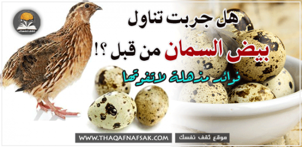 فوائد بيض السمان الصحية ١٣ سبب يجعله من أهم أنواع البيض