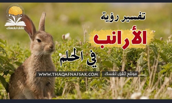 تفسير الأرانب في المنام