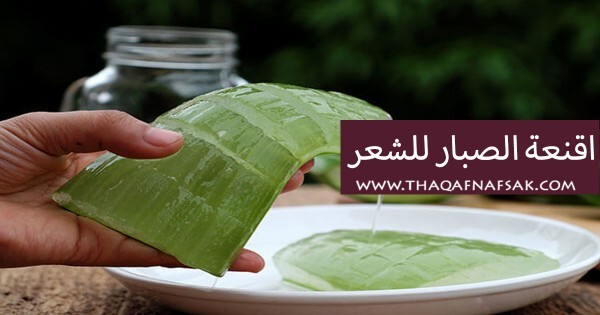 وصفات الصبار للشعر ١٠ أقنعة لكل أنواع الشعر وصفات الصبار للشعر ١٠ أقنعة لكل أنواع الشعر