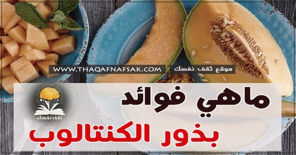 فوائد بذور الشمام نعم يمكنك تناول البذور واغتنام فوائدها الصحية لجسمك