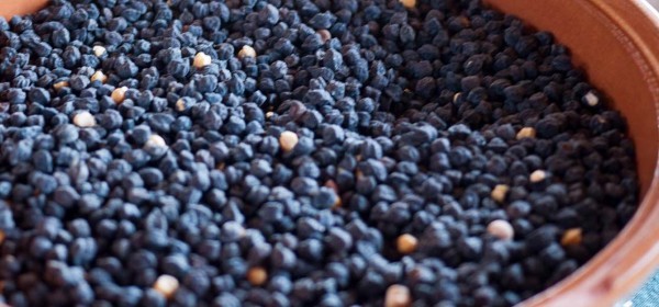 فوائد الحمص الأسود ١٤ فائدة يجب أن تستغلها لجسمك