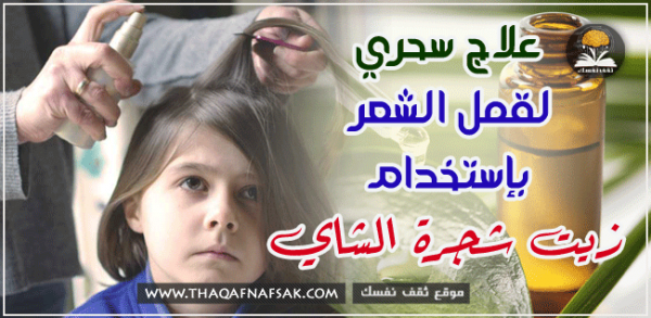 كيف تستخدم زيت شجرة الشاي للتخلص من قمل الشعر