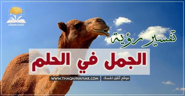 تفسير رؤية الجمل في الحلم