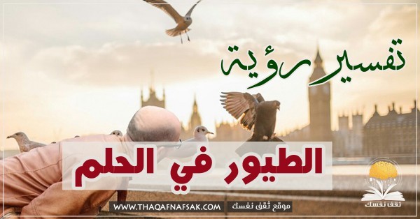 تفسير رؤية الطيور في الحلم ألوان الطيور وتصرفتها وتفسيرات متعدده