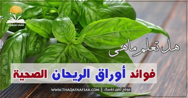 فوائد الريحان ٢٢ مُعجزة في هذه العُشبة