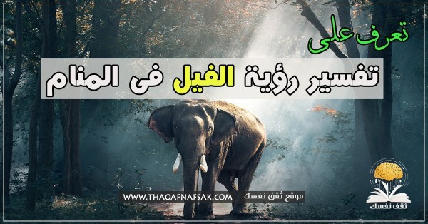 تفسير رؤية الفيل فى المنام