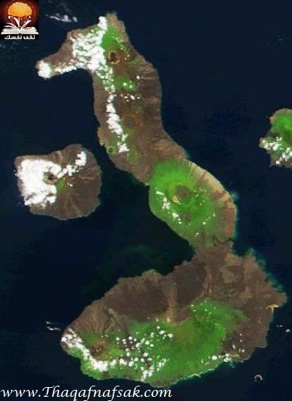بالصور أغرب 12 جزيرة على كوكب الأرض بالصور أغرب 12 جزيرة على كوكب الأرض