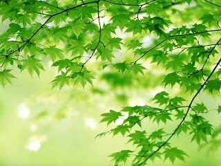 كيف تؤثر الألوان على حالتك المزاجية و ما تأثير كل لون من الألوان المختلفة عليك !! كيف تؤثر الألوان على حالتك المزاجية و ما تأثير كل لون من الألوان المختلفة عليك !!