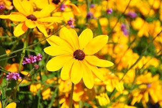 كيف تؤثر الألوان على حالتك المزاجية و ما تأثير كل لون من الألوان المختلفة عليك !! كيف تؤثر الألوان على حالتك المزاجية و ما تأثير كل لون من الألوان المختلفة عليك !!