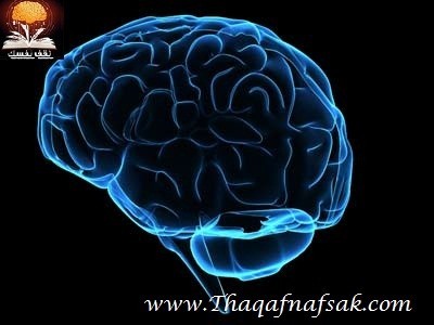 3 خدع لتحسين الذاكرة 3 خدع لتحسين الذاكرة