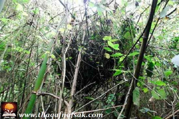 ثقف نفسك بهذه المعلومات السريعة