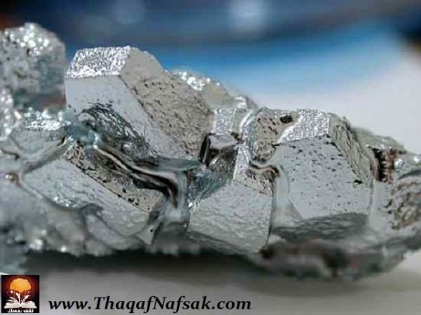 ثقف نفسك بهذه المعلومات السريعة