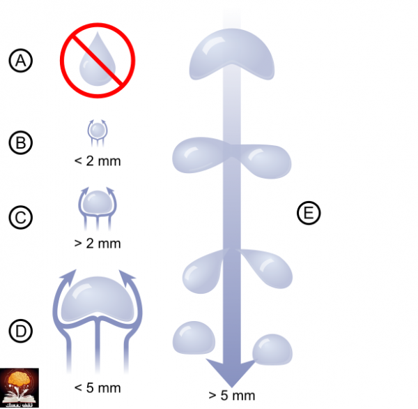 ثقف نفسك بهذه المعلومات السريعة