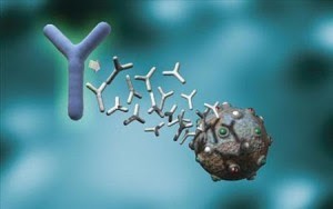 أغذية تساعد على تقوية المناعة ، أحرص على تناولها