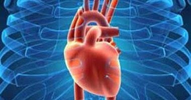 دراسة: تناول كوبين من القهوة يوميا يقى من فشل عضلة القلب دراسة: تناول كوبين من القهوة يوميا يقى من فشل عضلة القلب