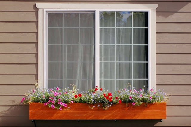 بعض النصائح للزراعة المنزلية في حيز محدود