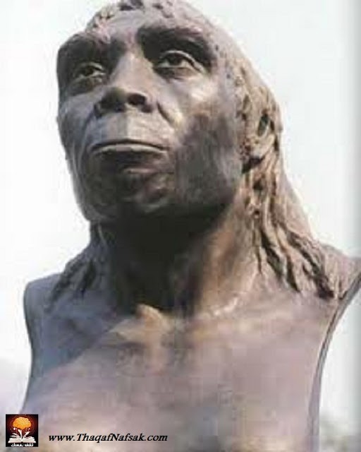 حفريات إنسان بكين