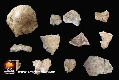 حفريات إنسان بكين