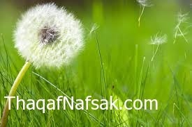 كيف تتجنب الإصابة بحساسية فصل الربيع كيف تتجنب الإصابة بحساسية فصل الربيع