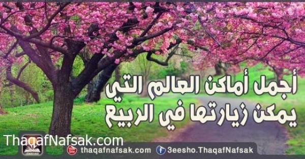 أجمل أماكن العالم التي يمكن زيارتها في الربيع