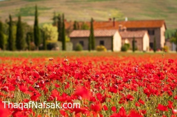 أجمل أماكن العالم التي يمكن زيارتها في الربيع