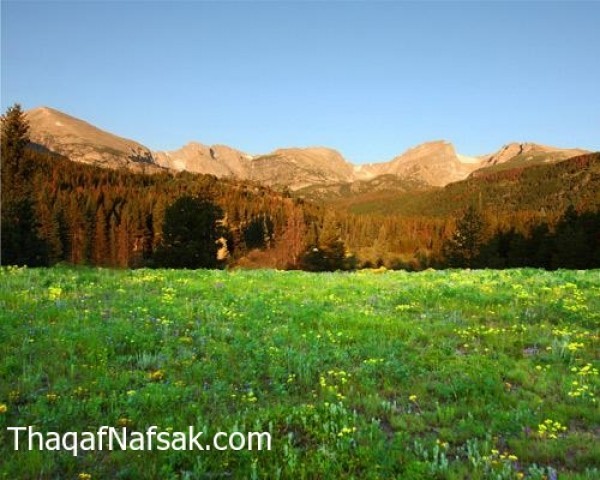 أجمل أماكن العالم التي يمكن زيارتها في الربيع