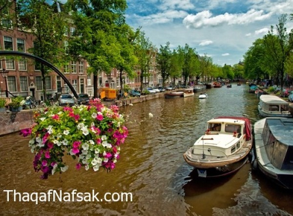 أجمل أماكن العالم التي يمكن زيارتها في الربيع