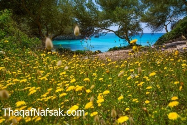 أجمل أماكن العالم التي يمكن زيارتها في الربيع