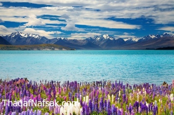 أجمل أماكن العالم التي يمكن زيارتها في الربيع