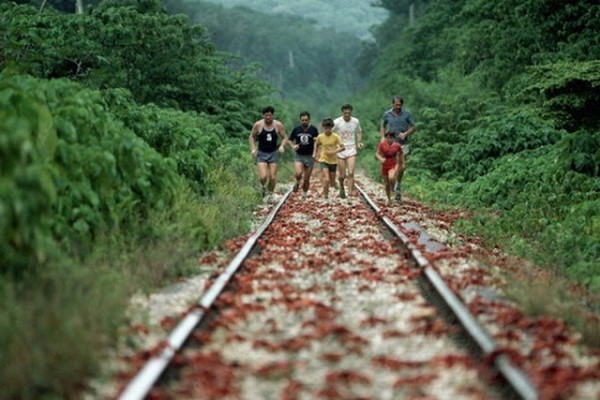 هجرة سرطان البحر ، حين تجد مدينتك تكسوها هذه الكائنات ، فيلم رعب على أرض الواقع