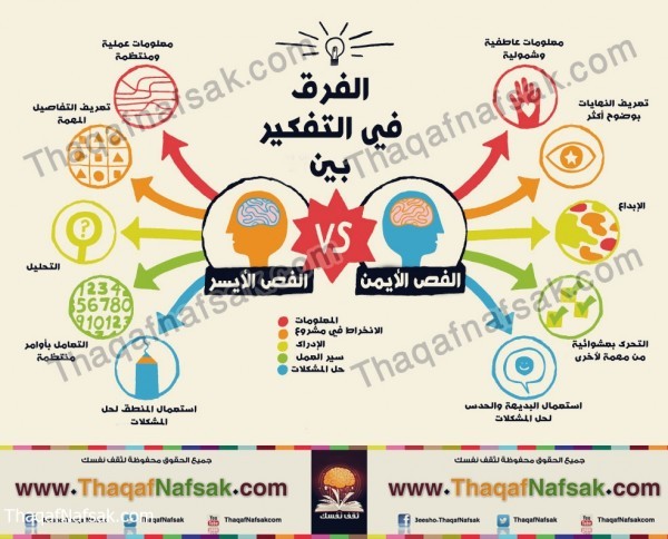 10 حقائق يجب أن تعرفها عن العقل البشرى 10 حقائق يجب أن تعرفها عن العقل البشرى
