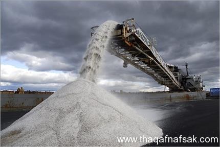 10 حقائق مهمة عن الفلوريد