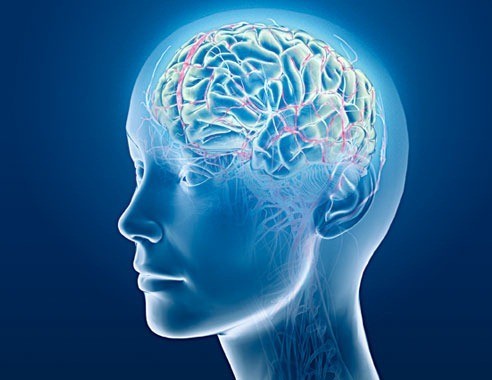 ألعاب الذاكرة ألعاب الذاكرة