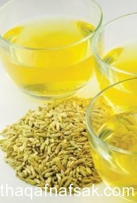 أهم الأعشاب من حولنا وفوائدها أهم الأعشاب من حولنا وفوائدها
