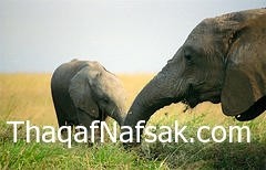 أماكن سياحية رائعة عليك القيام بزيارتها أماكن سياحية رائعة عليك القيام بزيارتها