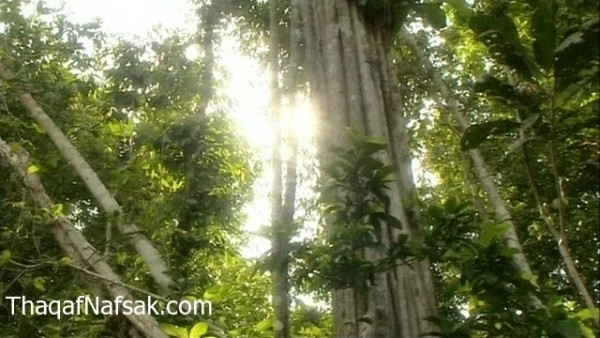 أماكن سياحية رائعة عليك القيام بزيارتها أماكن سياحية رائعة عليك القيام بزيارتها