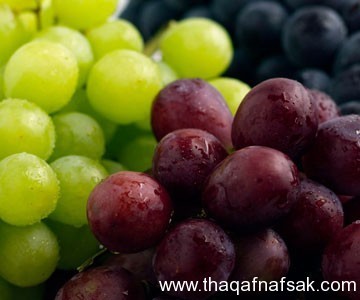 أفضل الاطعمة لتحسين الذاكرة 20 نوع لهم تأثير سحري أفضل الاطعمة لتحسين الذاكرة 20 نوع لهم تأثير سحري