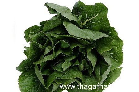 10 خضروات لنظام غذائي صحي لتكون صحتك أقوى 10 خضروات لنظام غذائي صحي لتكون صحتك أقوى