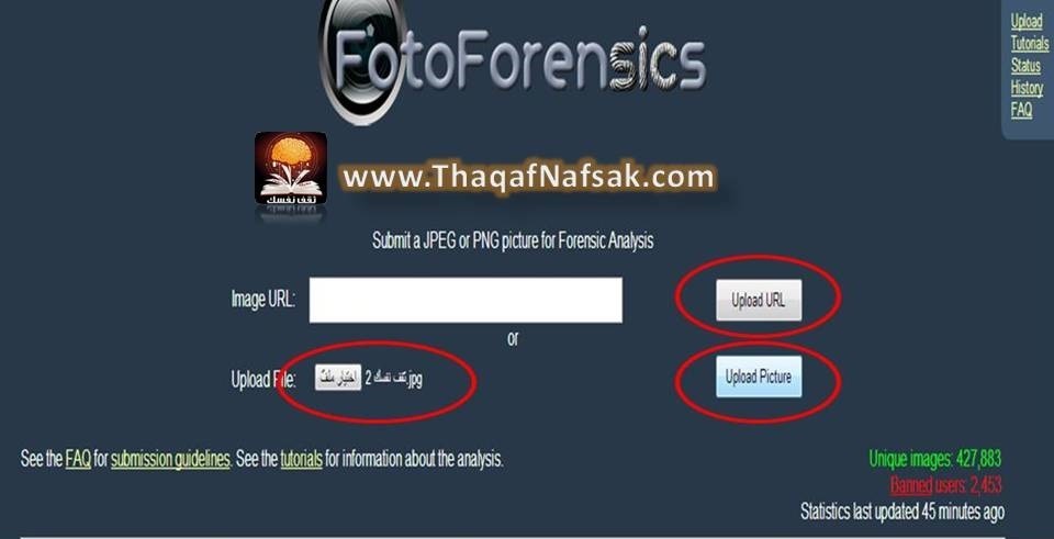 تعلم بالصور كيف تكتشف الصور المفبركة ؟ لانها منتشرة بيننا تعلم بالصور كيف تكتشف الصور المفبركة ؟ لانها منتشرة بيننا