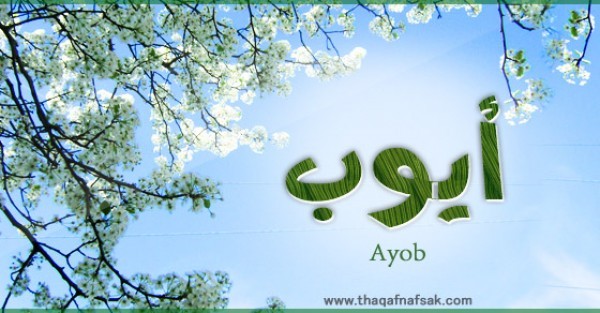 معنى اسم “ايوب” وصفات حامل الاسم معنى اسم “ايوب” وصفات حامل الاسم
