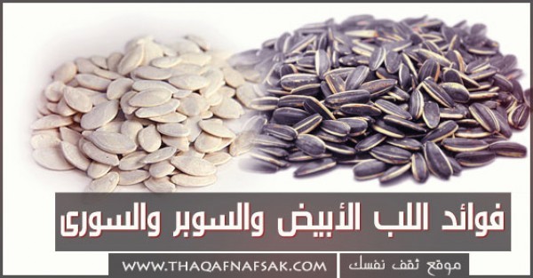 فوائد اللب الأبيض والسوبر والسورى فوائد اللب الأبيض والسوبر والسورى