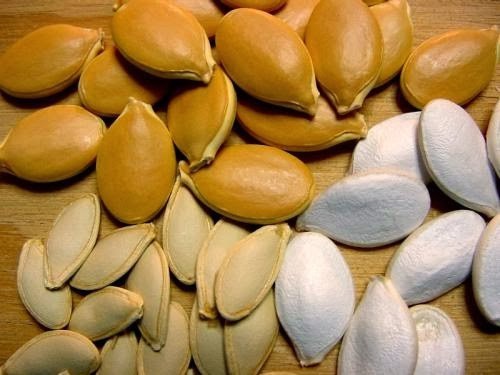 فوائد اللب الأبيض والسوبر والسورى فوائد اللب الأبيض والسوبر والسورى