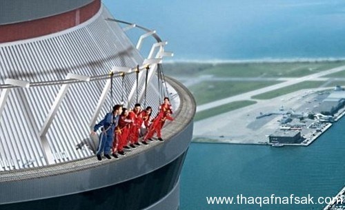 أغرب و أروع الجسوروالمنصات حول العالم