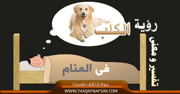تفسير رؤية الكلب في الحلم تفسير رؤية الكلب في الحلم