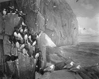 لونك المفضل وعلاقته بشخصيتك ؟!