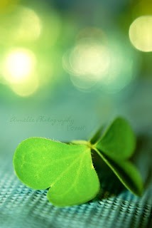 لونك المفضل وعلاقته بشخصيتك ؟!