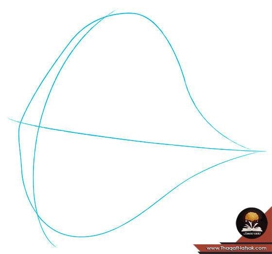 تعلم رسم السمكة دوري “خطوات بالصور” تعلم رسم السمكة دوري “خطوات بالصور”